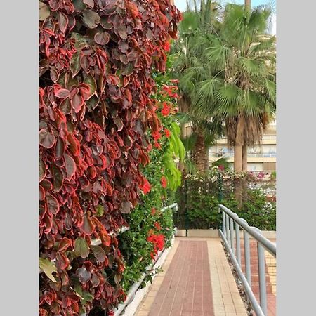 Jardines Del Sur, Ocean View Apartman Buzanada Kültér fotó
