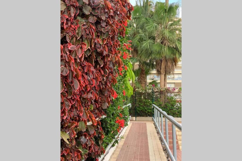 Jardines Del Sur, Ocean View Apartman Buzanada Kültér fotó